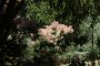 352 Lourmarin